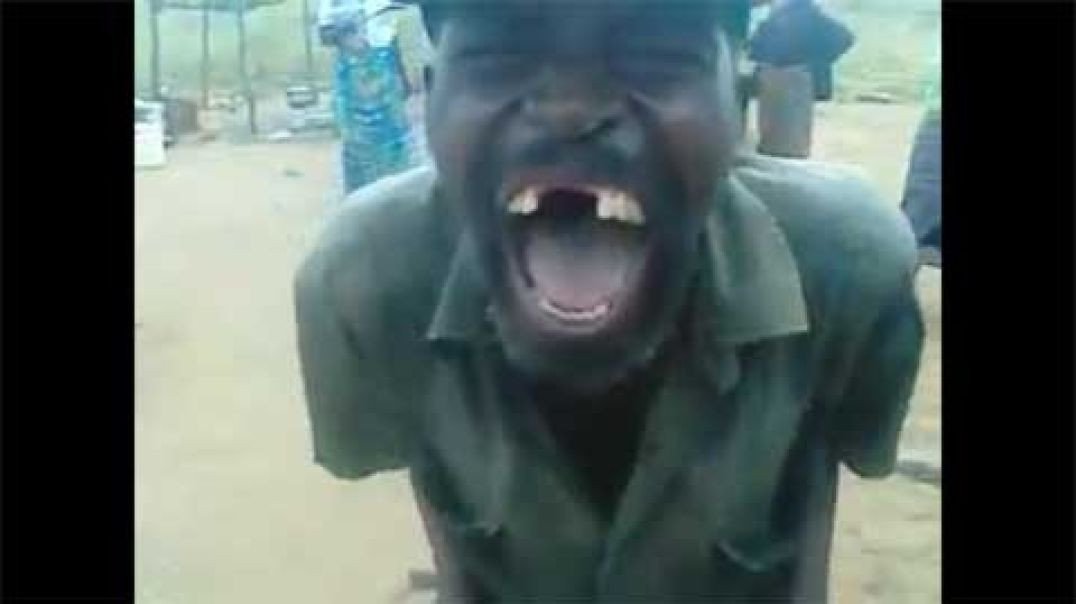 Youtube Viral Laughing Man African Meme Video Download